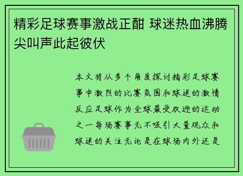 精彩足球赛事激战正酣 球迷热血沸腾尖叫声此起彼伏
